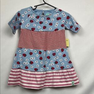 Lilly and Sid red pink blue strawberry and stripes print organic cotton dress